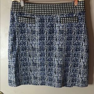 Blue and White Skirt